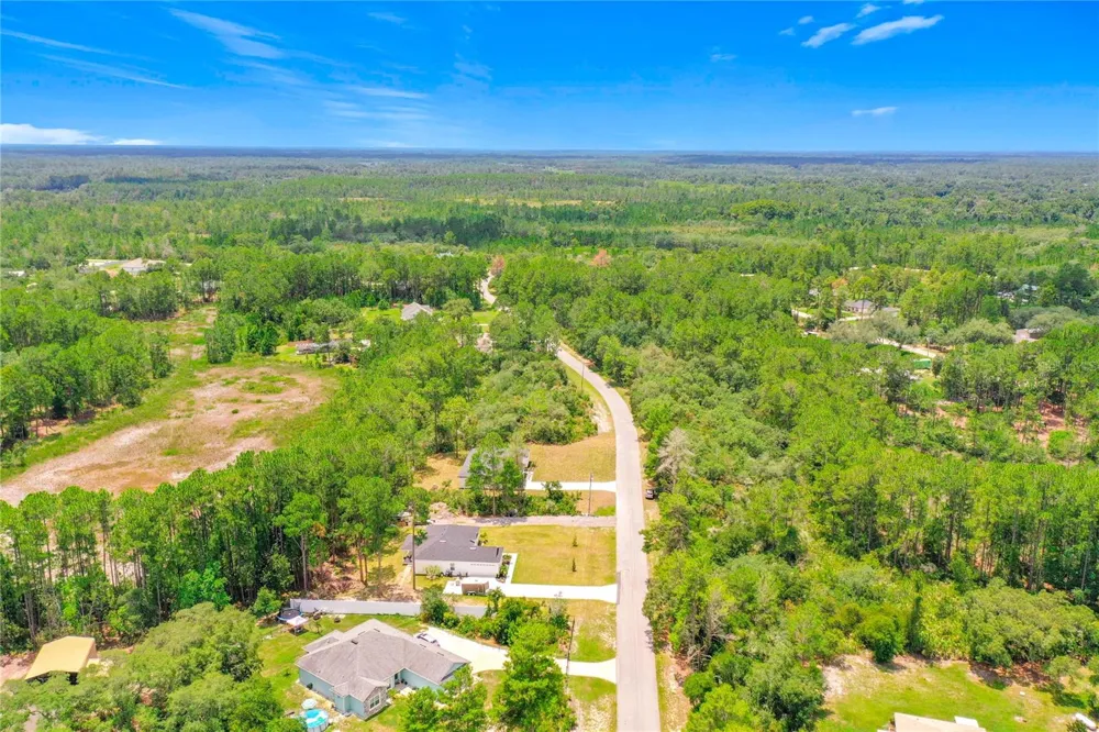 41334 PERSIMMON STREET Eustis, FL 32736