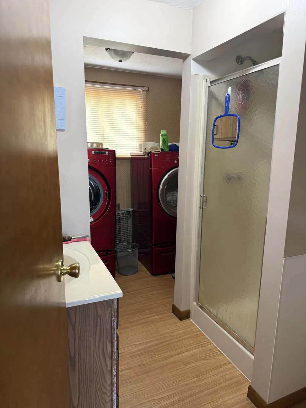 141 S Beechwood Drive SW Stanton, MI 48888