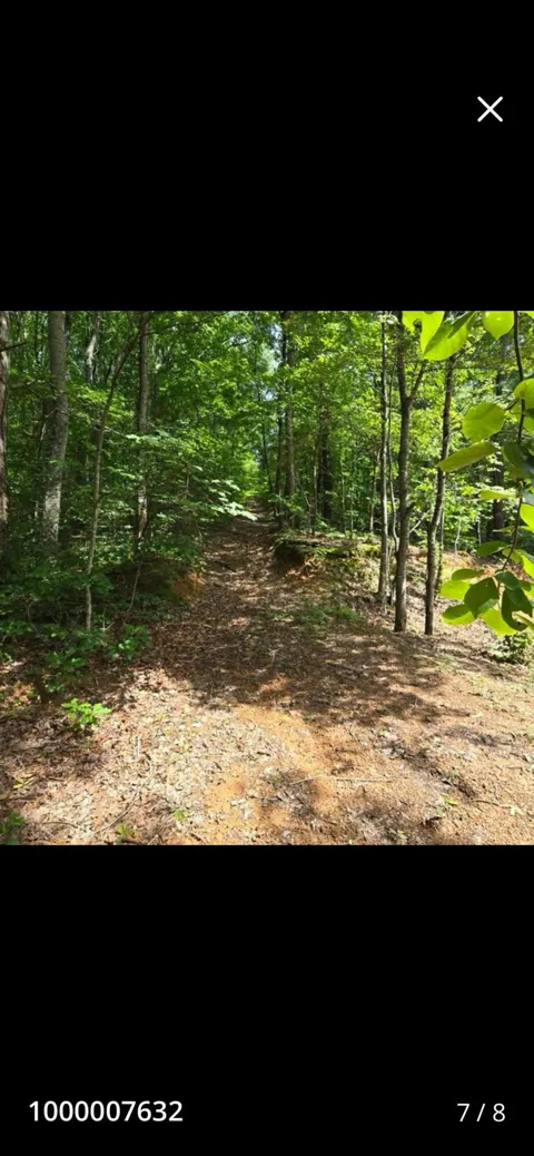 185 Co Rd 179