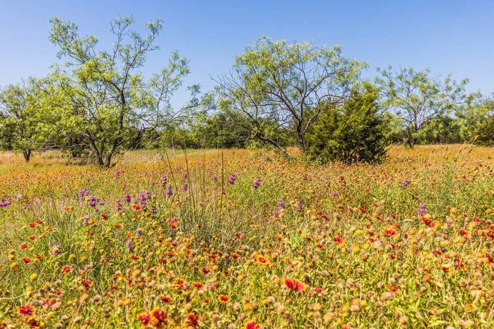 2 County Road 3300 Kempner, TX 76539