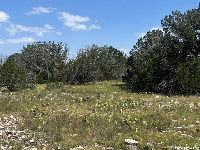 1863 Sd 74200 Rocksprings, TX 78880