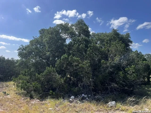 1863 Sd 74200 Rocksprings, TX 78880