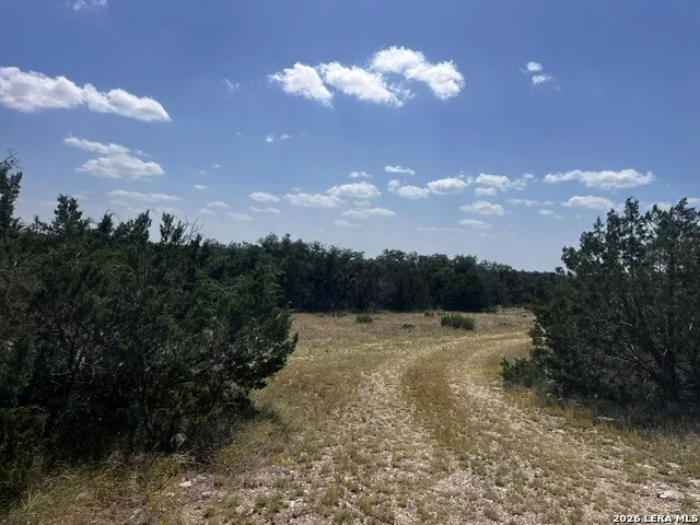 1863 Sd 74200 Rocksprings, TX 78880