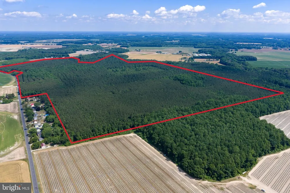 0 JERSEY ROAD Salisbury, MD 21801
