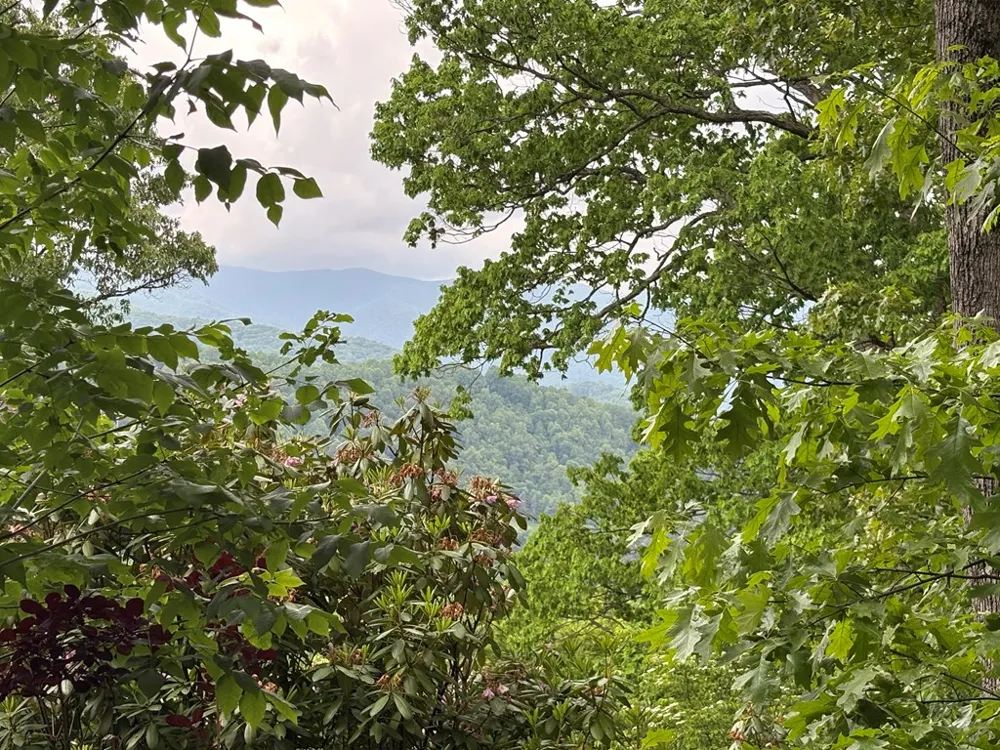 Presidential Drive Waynesville, NC 28786