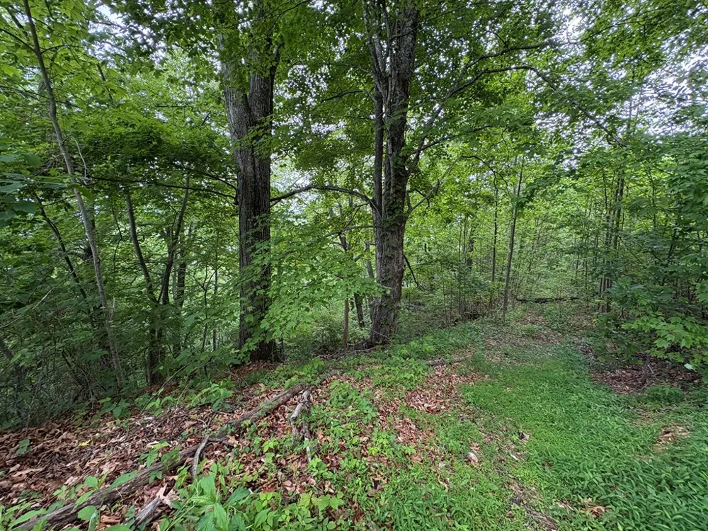 Presidential Drive Waynesville, NC 28786
