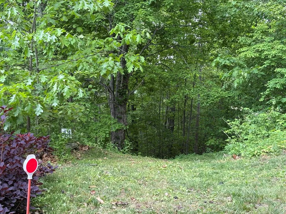 Presidential Drive Waynesville, NC 28786