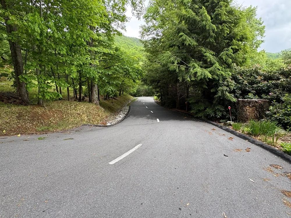 Presidential Drive Waynesville, NC 28786
