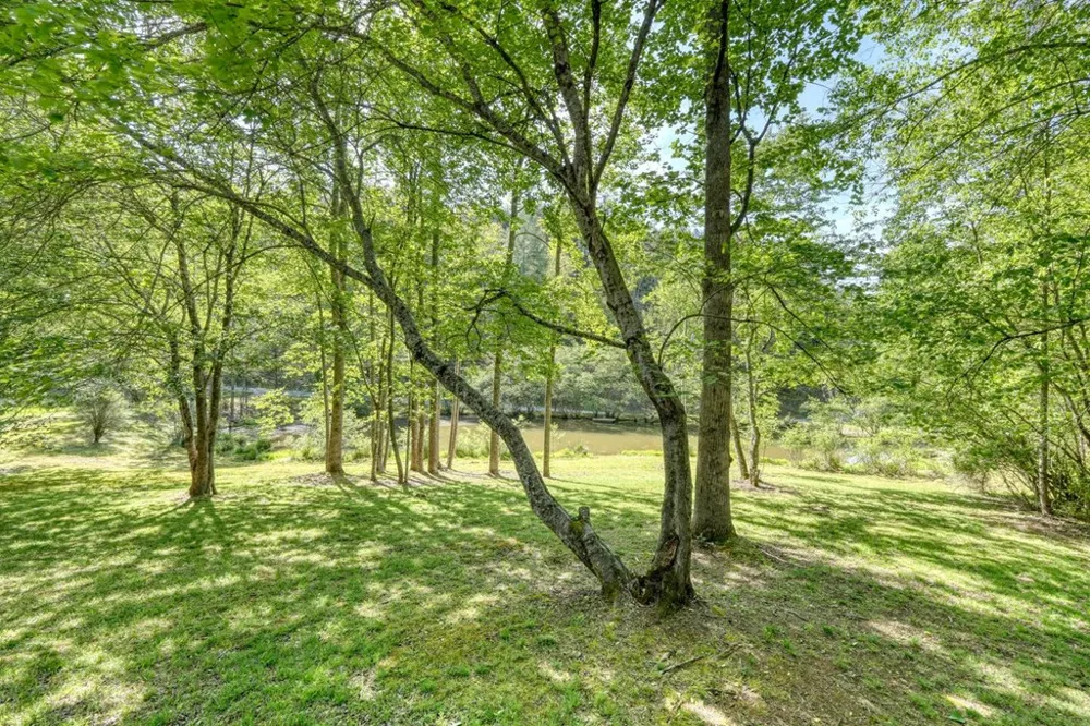 1493 Greasy Creek Road Brasstown, NC 28902