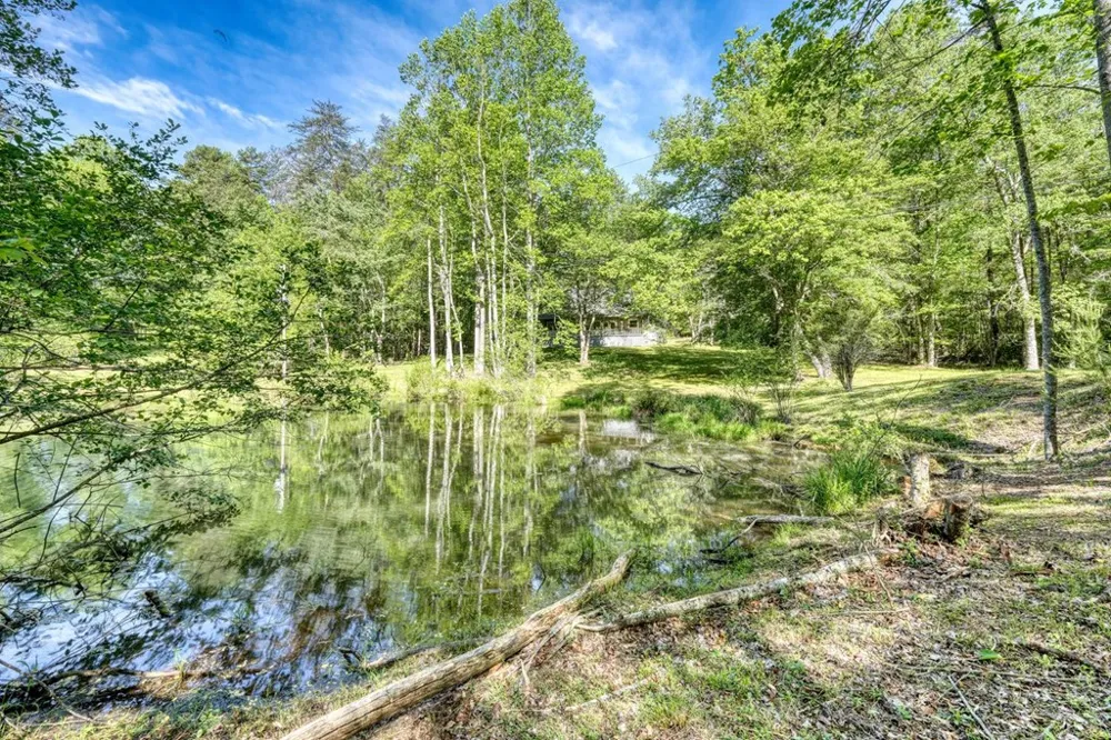 1493 Greasy Creek Road Brasstown, NC 28902