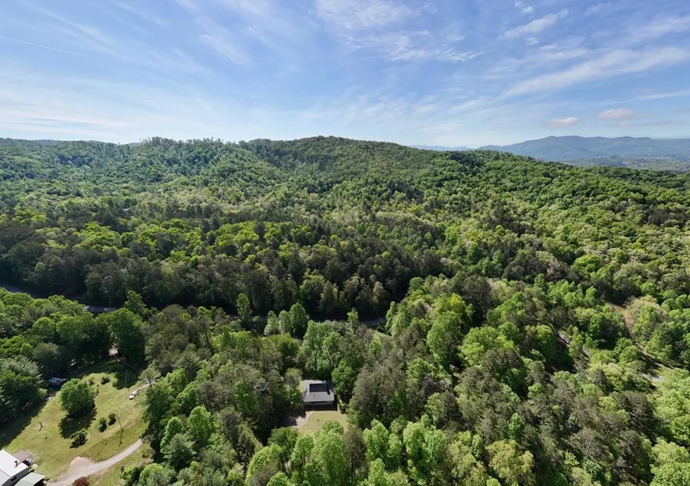 1493 Greasy Creek Road Brasstown, NC 28902