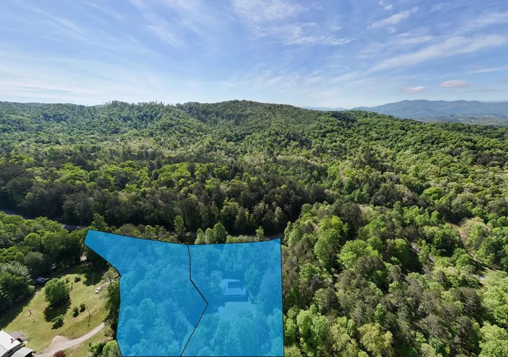 1493 Greasy Creek Road Brasstown, NC 28902