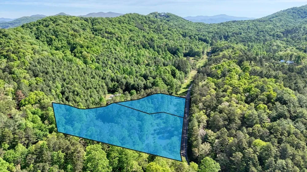 1493 Greasy Creek Road Brasstown, NC 28902