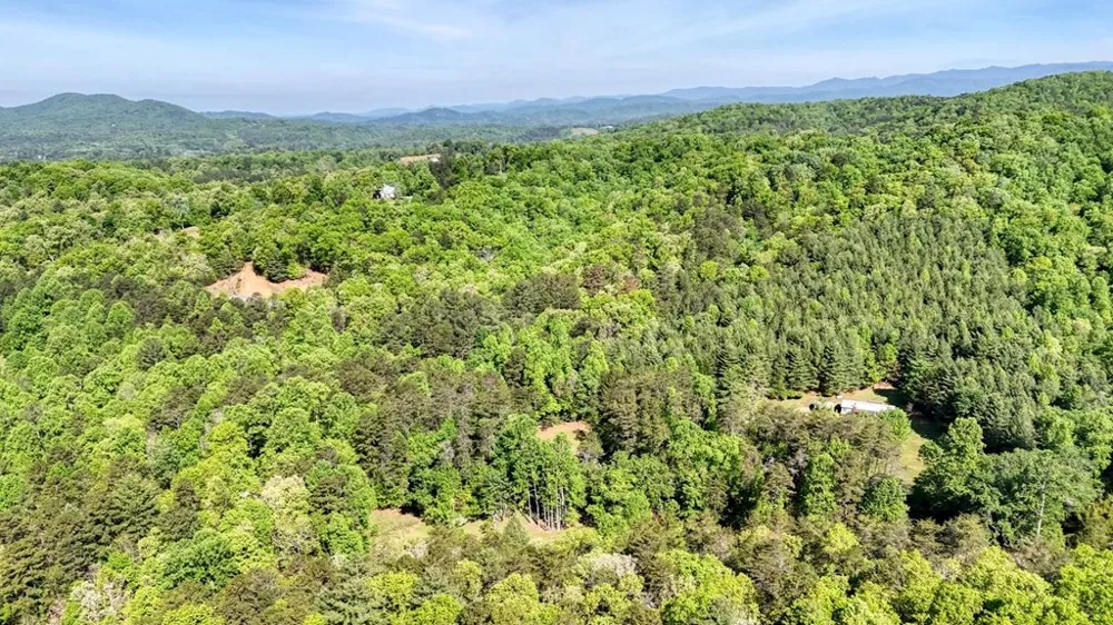 1493 Greasy Creek Road Brasstown, NC 28902