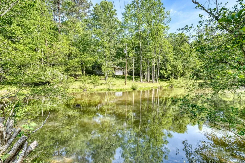 1493 Greasy Creek Road Brasstown, NC 28902