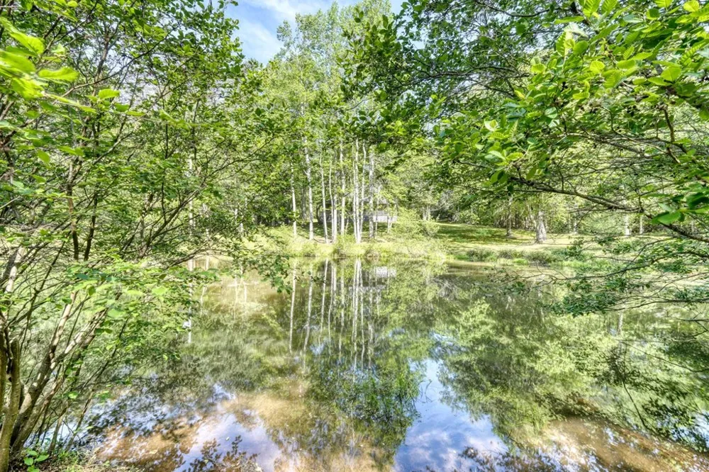 1493 Greasy Creek Road Brasstown, NC 28902