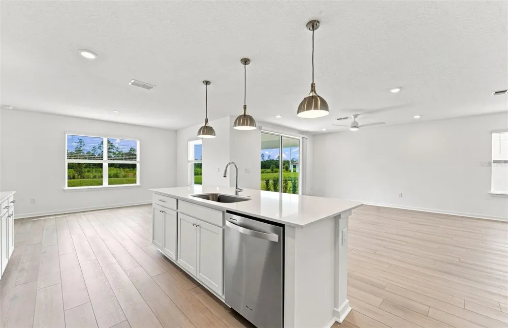 36790 KISTNA DRIVE Zephyrhills, FL 33540