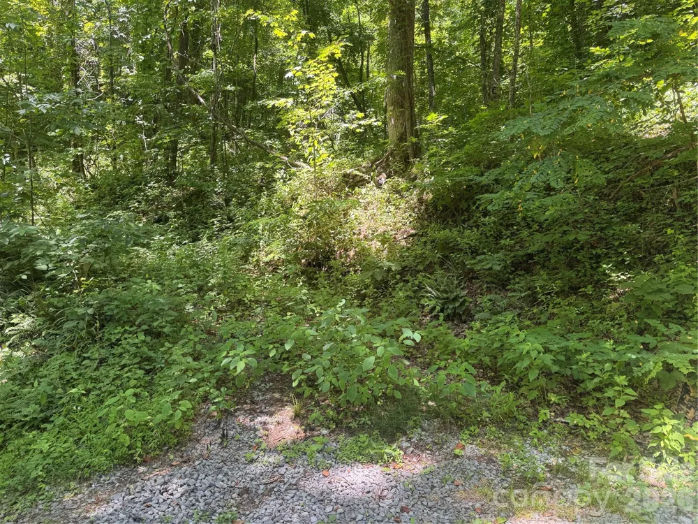 505 Mountainside Drive #27, 28, 29, 30, 31, 32 Waynesville, NC 28786