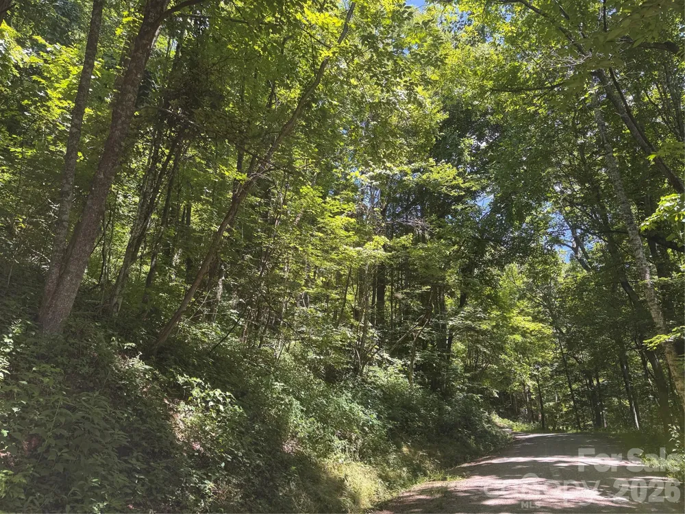 505 Mountainside Drive #27, 28, 29, 30, 31, 32 Waynesville, NC 28786
