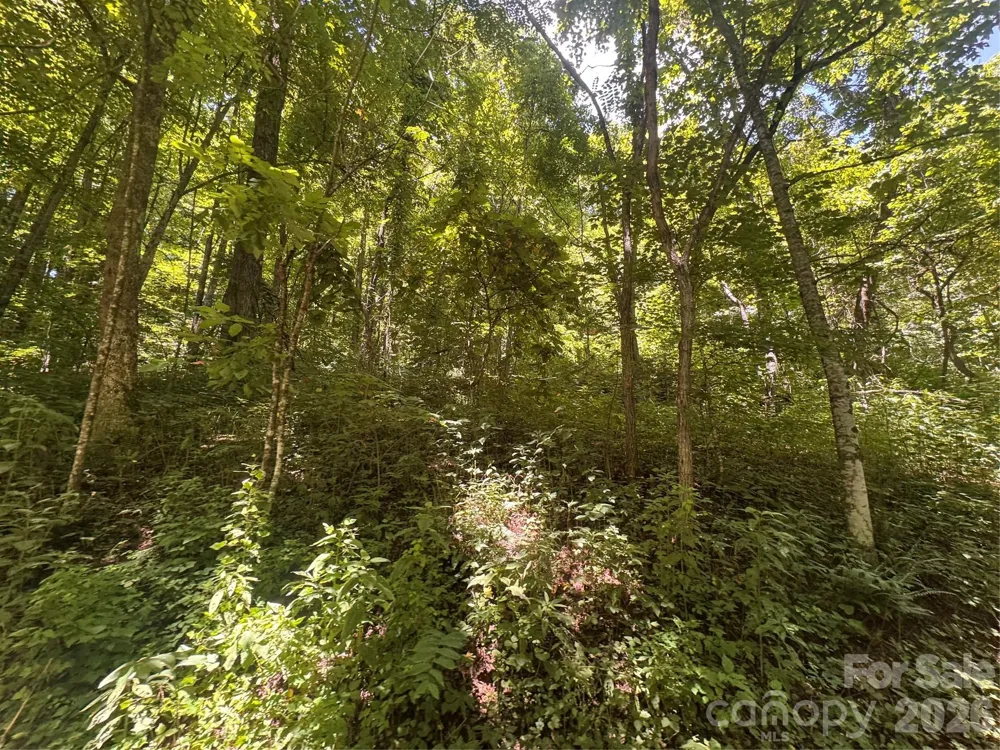 505 Mountainside Drive #27, 28, 29, 30, 31, 32 Waynesville, NC 28786