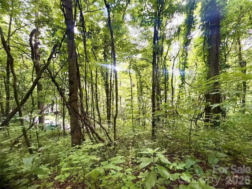 505 Mountainside Drive #27, 28, 29, 30, 31, 32 Waynesville, NC 28786