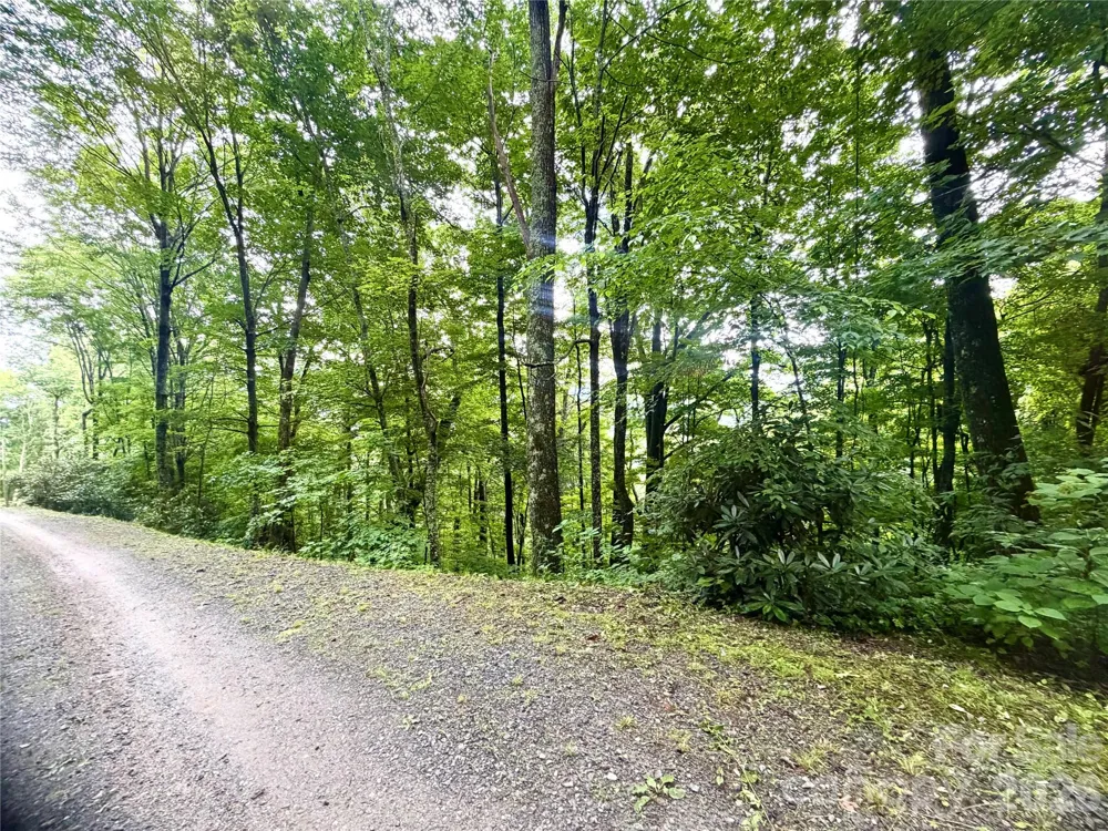 505 Mountainside Drive #27, 28, 29, 30, 31, 32 Waynesville, NC 28786