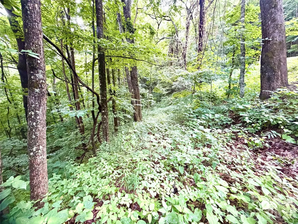 505 Mountainside Drive #27, 28, 29, 30, 31, 32 Waynesville, NC 28786