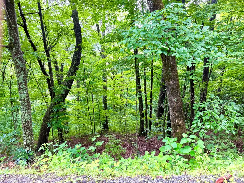 505 Mountainside Drive #27, 28, 29, 30, 31, 32 Waynesville, NC 28786
