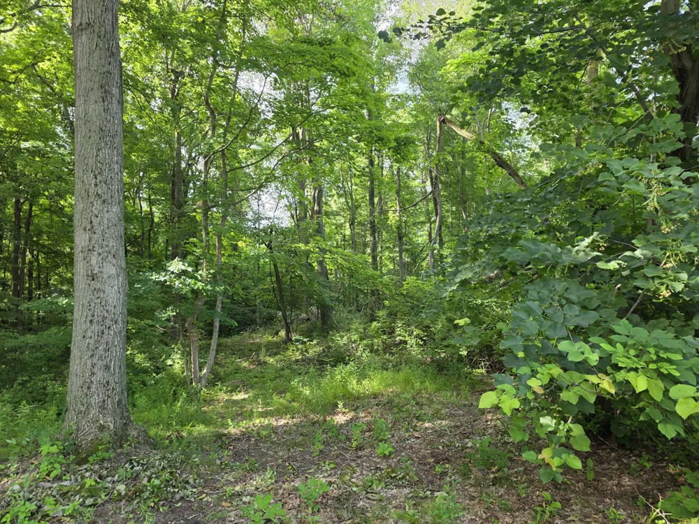 17647 Summerhill Lane #40 New Buffalo, MI 49117