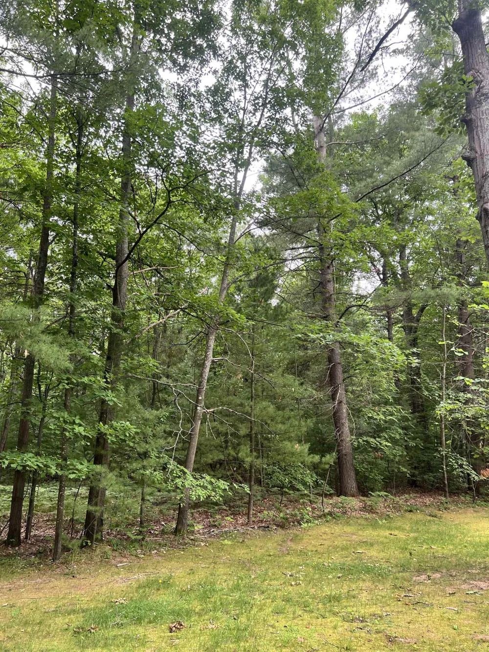 151 Dubonnet Trail Green Lake Township, MI 49643