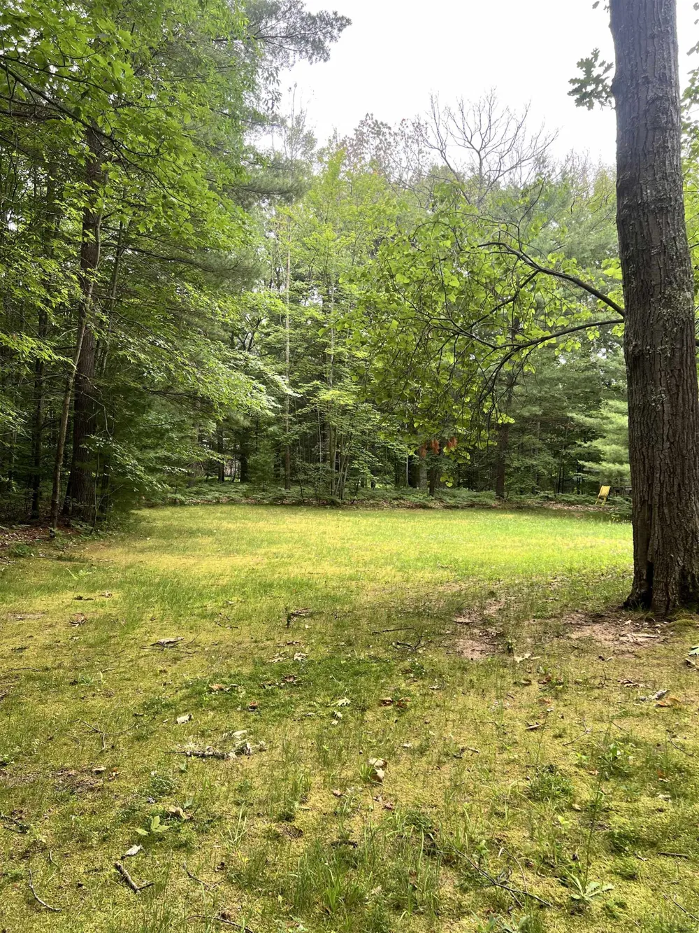 151 Dubonnet Trail Green Lake Township, MI 49643