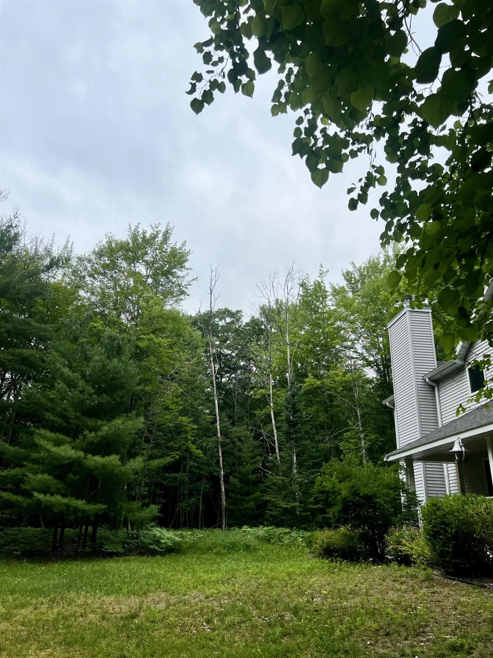 151 Dubonnet Trail Green Lake Township, MI 49643
