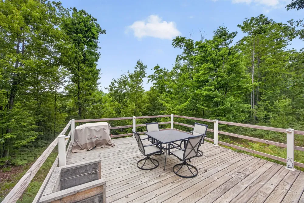 S 47 3/4 ROAD Haring Charter Township, MI 49601