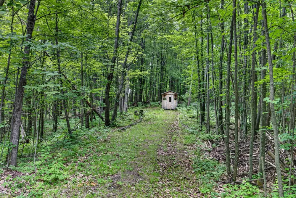 S 47 3/4 ROAD Haring Charter Township, MI 49601