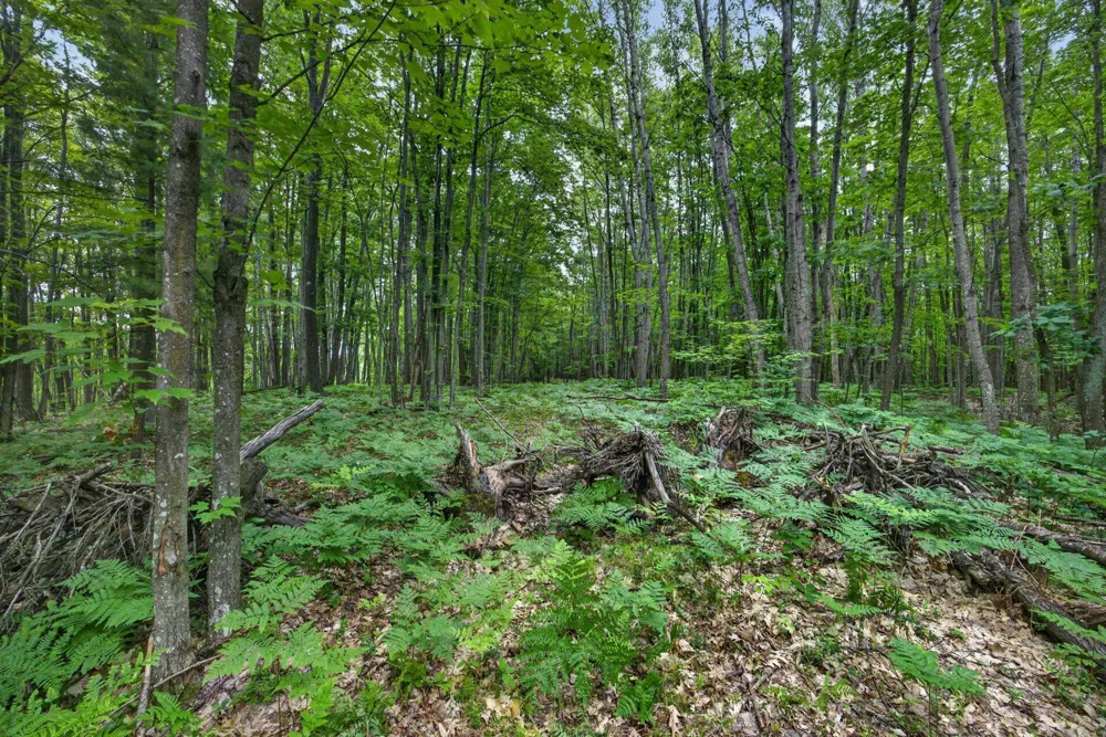 S 47 3/4 ROAD Haring Charter Township, MI 49601
