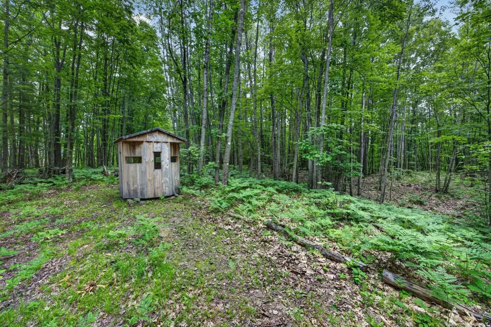 S 47 3/4 ROAD Haring Charter Township, MI 49601