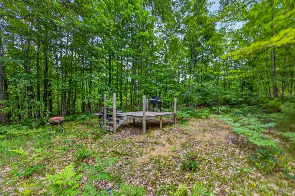 S 47 3/4 ROAD Haring Charter Township, MI 49601