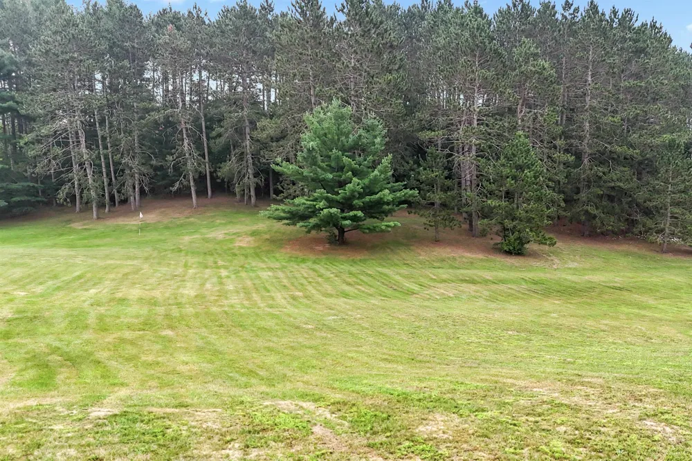 16186 200th Avenue Le Roy Township, MI 49655