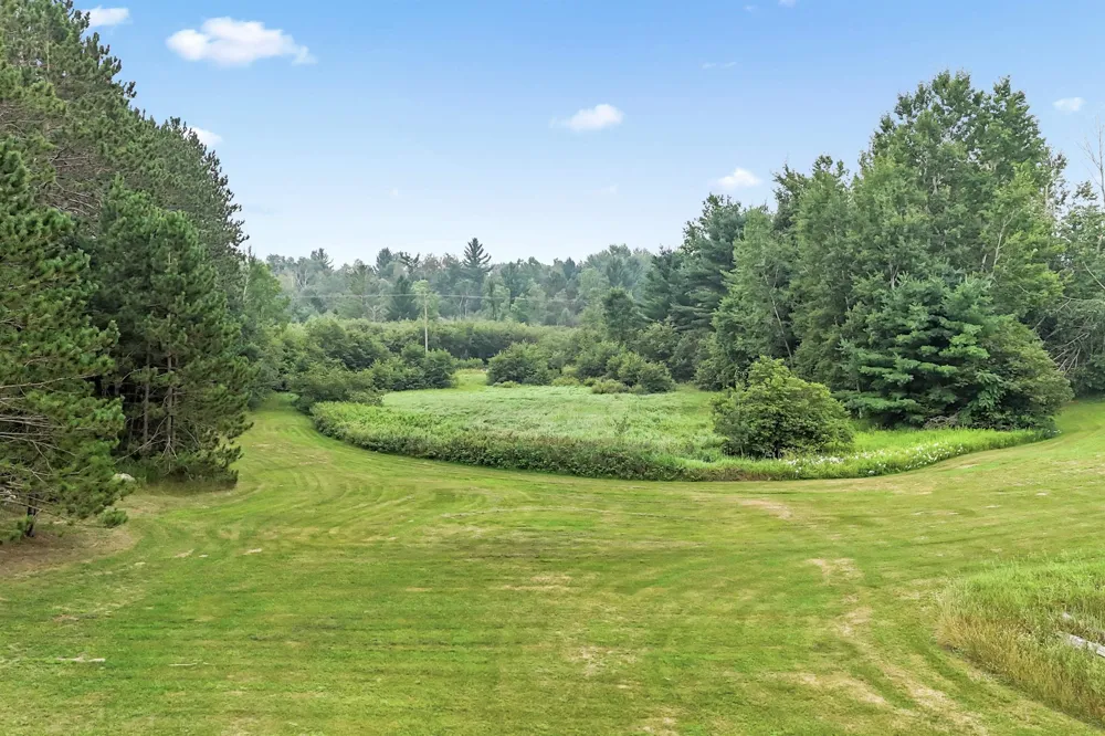 16186 200th Avenue Le Roy Township, MI 49655
