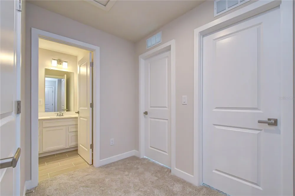 20253 LOU ANGELA LANE Lutz, FL 33558