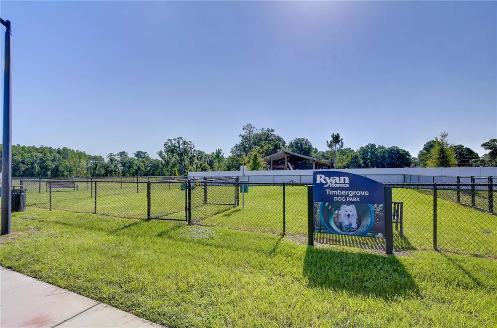 20253 LOU ANGELA LANE Lutz, FL 33558