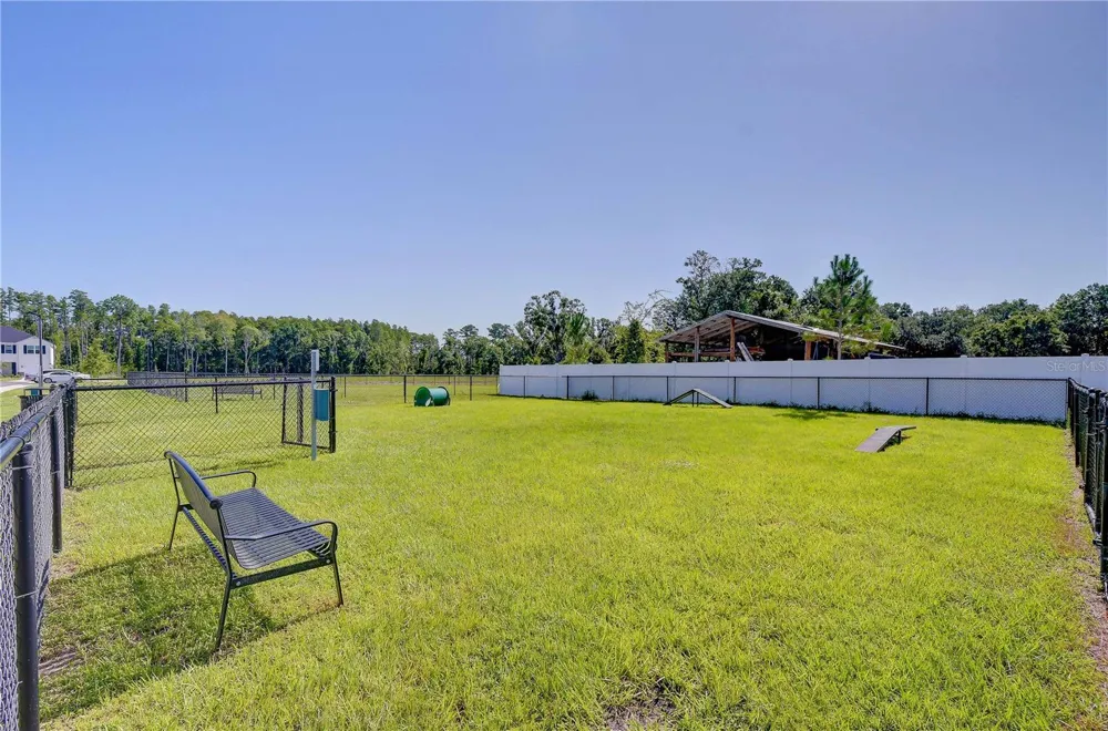 20253 LOU ANGELA LANE Lutz, FL 33558
