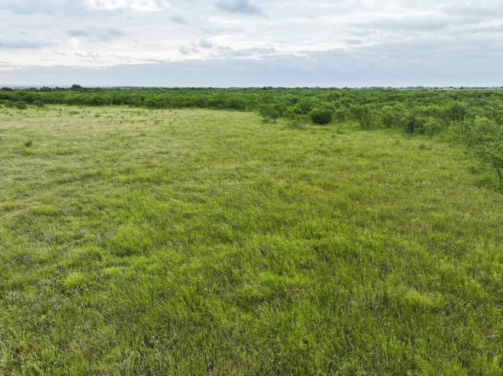106 Porcupine Trail Tuscola, TX 79562