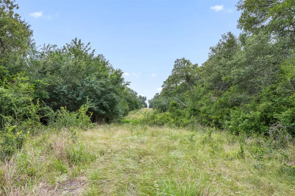 Schuster Road Round Top, TX 78954