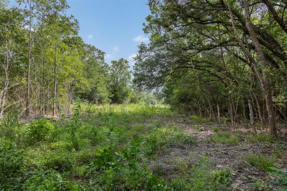 Schuster Road Round Top, TX 78954