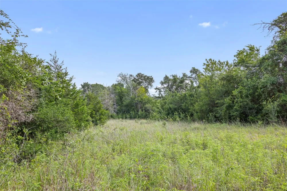 Schuster Road Round Top, TX 78954