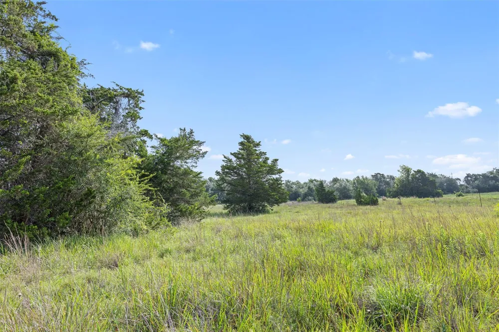 Schuster Road Round Top, TX 78954