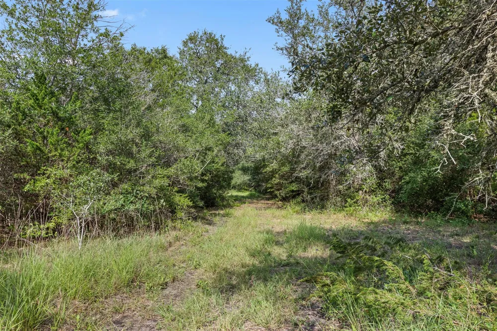 Schuster Road Round Top, TX 78954
