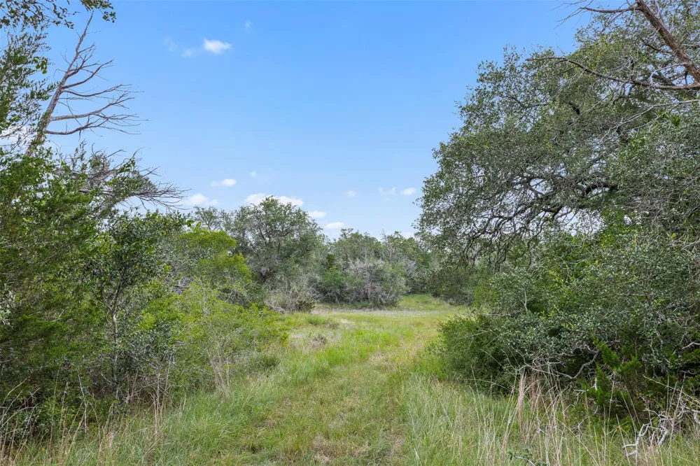 Schuster Road Round Top, TX 78954