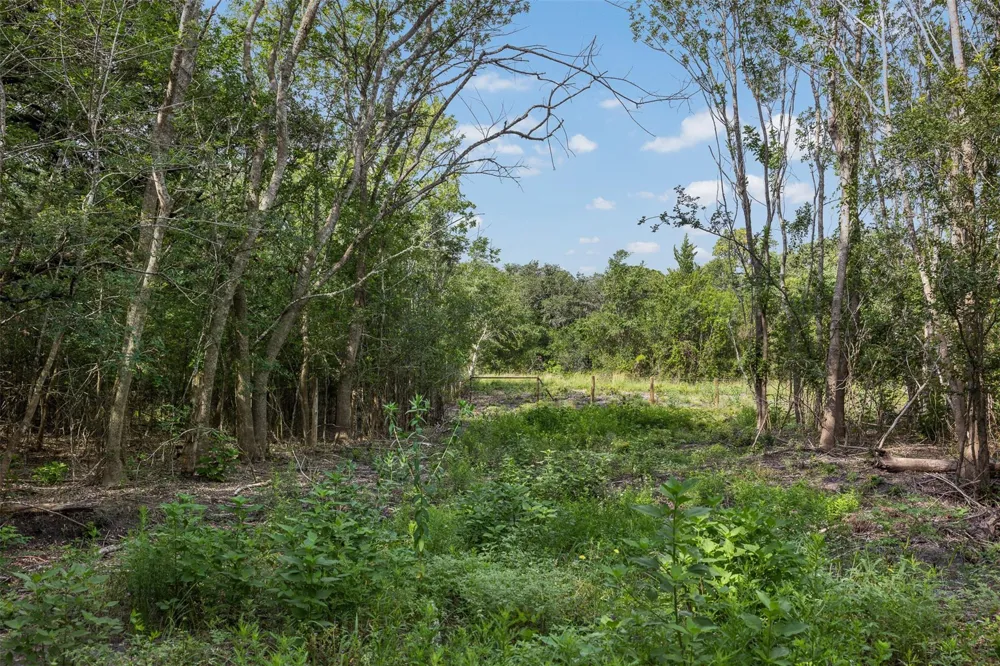 Schuster Road Round Top, TX 78954
